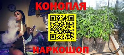 стафф Пыть-Ях