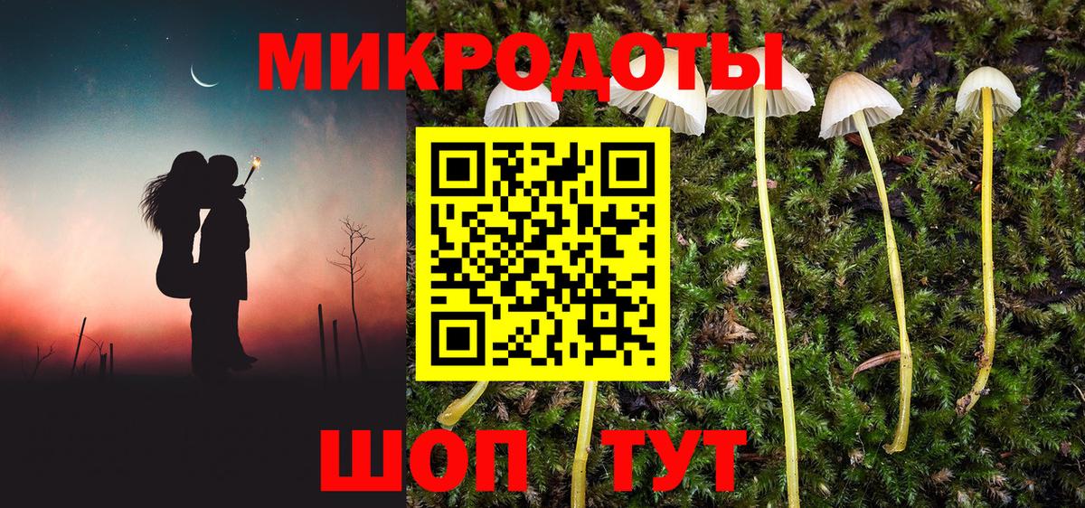 Галлюциногенные грибы Psilocybe  хочу наркоту  Галлюциногенные грибы мухоморы  Хасавюрт  Вход с VPN 